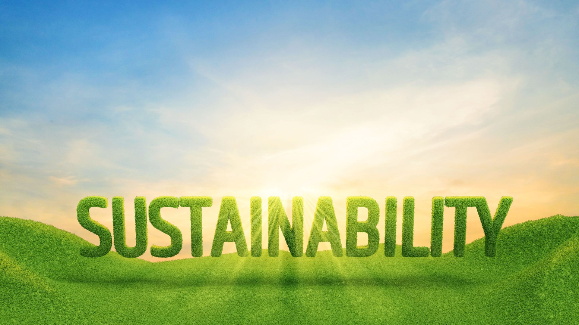 Sustainability Typography, green environment, Go green concept, Environmental Concept, Sustainable Resources, Protecting Planet Together, ESG, CSR