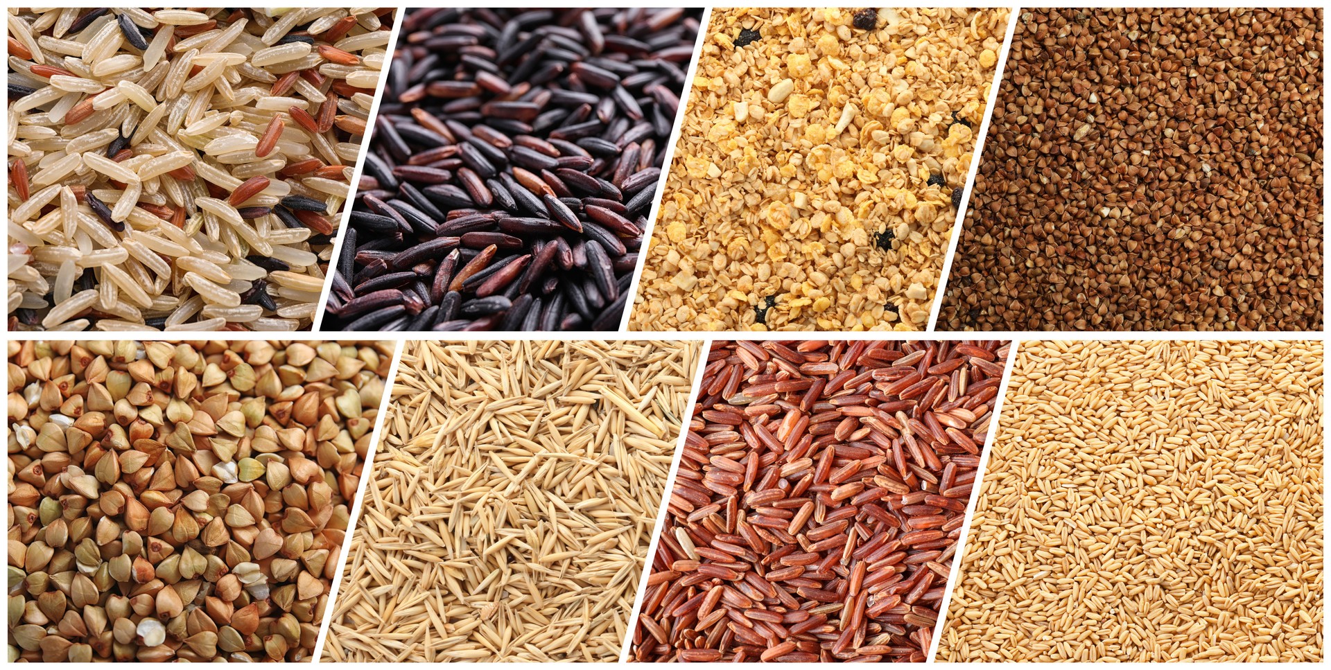 Collection of different grains and cereals as background. Banner design